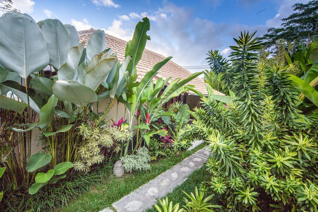 The Manipura Luxury Estate And Spa Up To 18 Person, Fully Serviced Ubud  Exterior photo